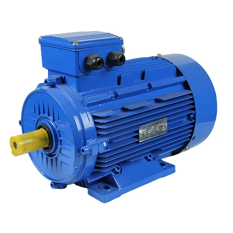 Ye3 Premium High Efficiency Three Phase Induction AC Electric Asynchronous Motor
