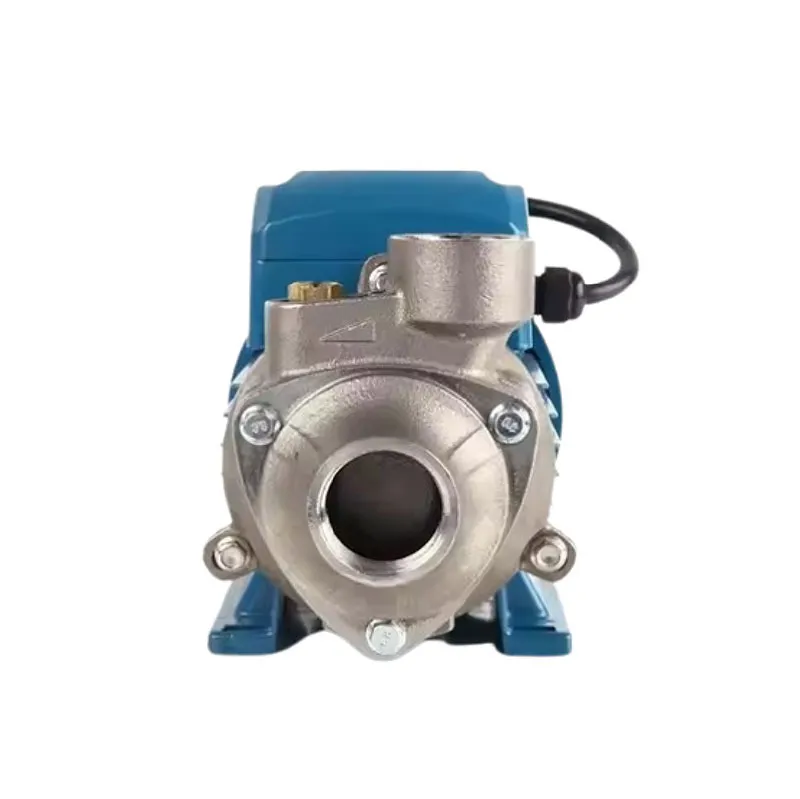 QBS Series Stainless Steel Peripheral Water Pump Domestic Use Clear Water Pump