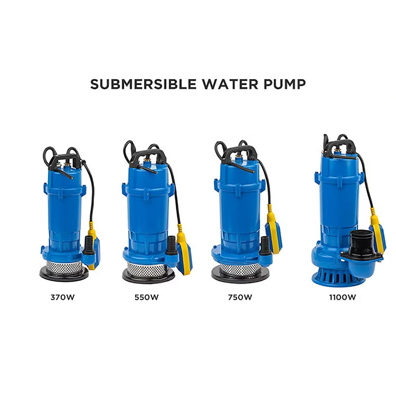 QDX Series 220v Wastewater Sewage Submersible Pump for Household Water Supply and Farmland Irrigation