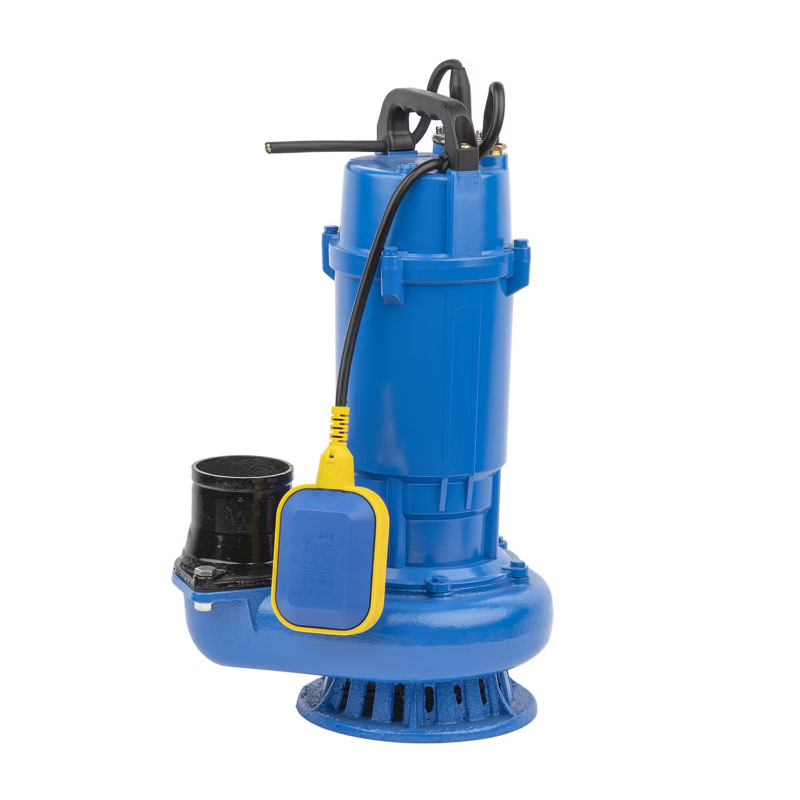 QDX Series 220v Wastewater Sewage Submersible Pump for Household Water Supply and Farmland Irrigation