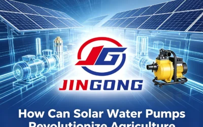 How Can Solar Water Pumps Revolutionize Agriculture