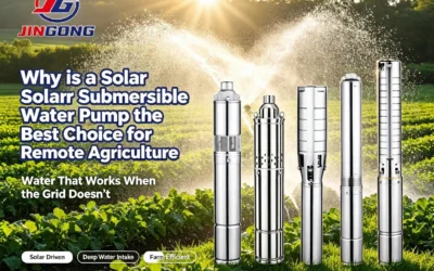Why is a Solar Submersible Water Pump the Best Choice for Remote Agriculture