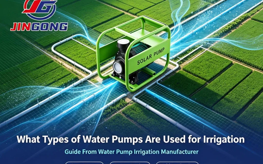 What Types of Water Pumps Are Used for Irrigation Guide From Water Pump Irrigation manufacturer